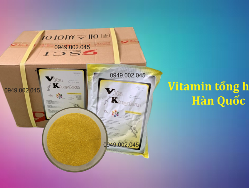 Vita Kingdom - Vitamin tổng hợp tăng đề kháng tôm cá